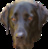 isladogs